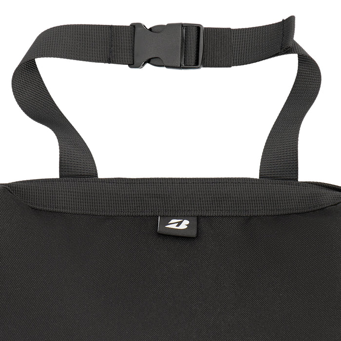 Cooler and storage bag